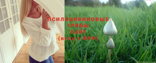 мескалин Михайловка