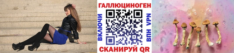 Галлюциногенные грибы Psilocybine cubensis  купить наркоту  Кола 